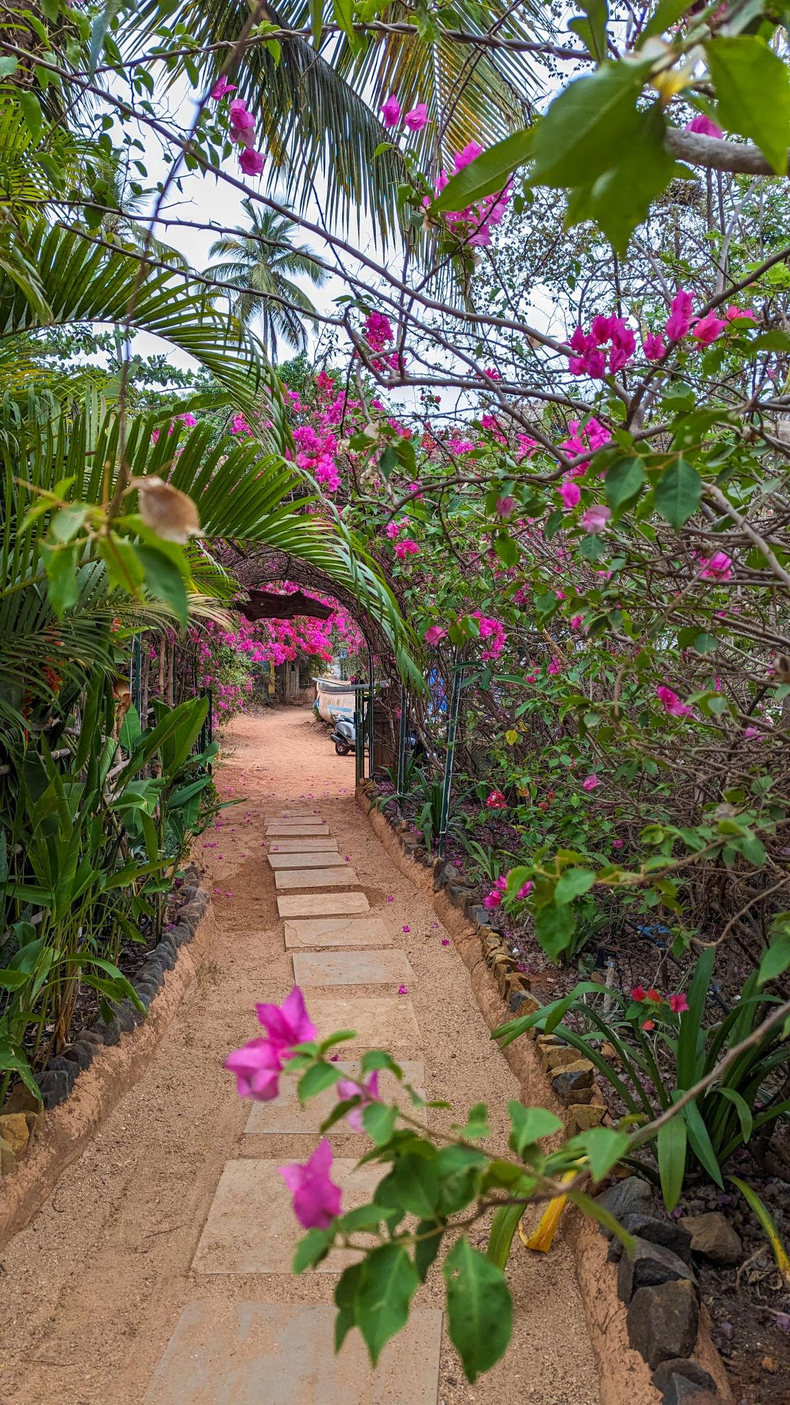 🍽️ Romantic Restaurants in Goa