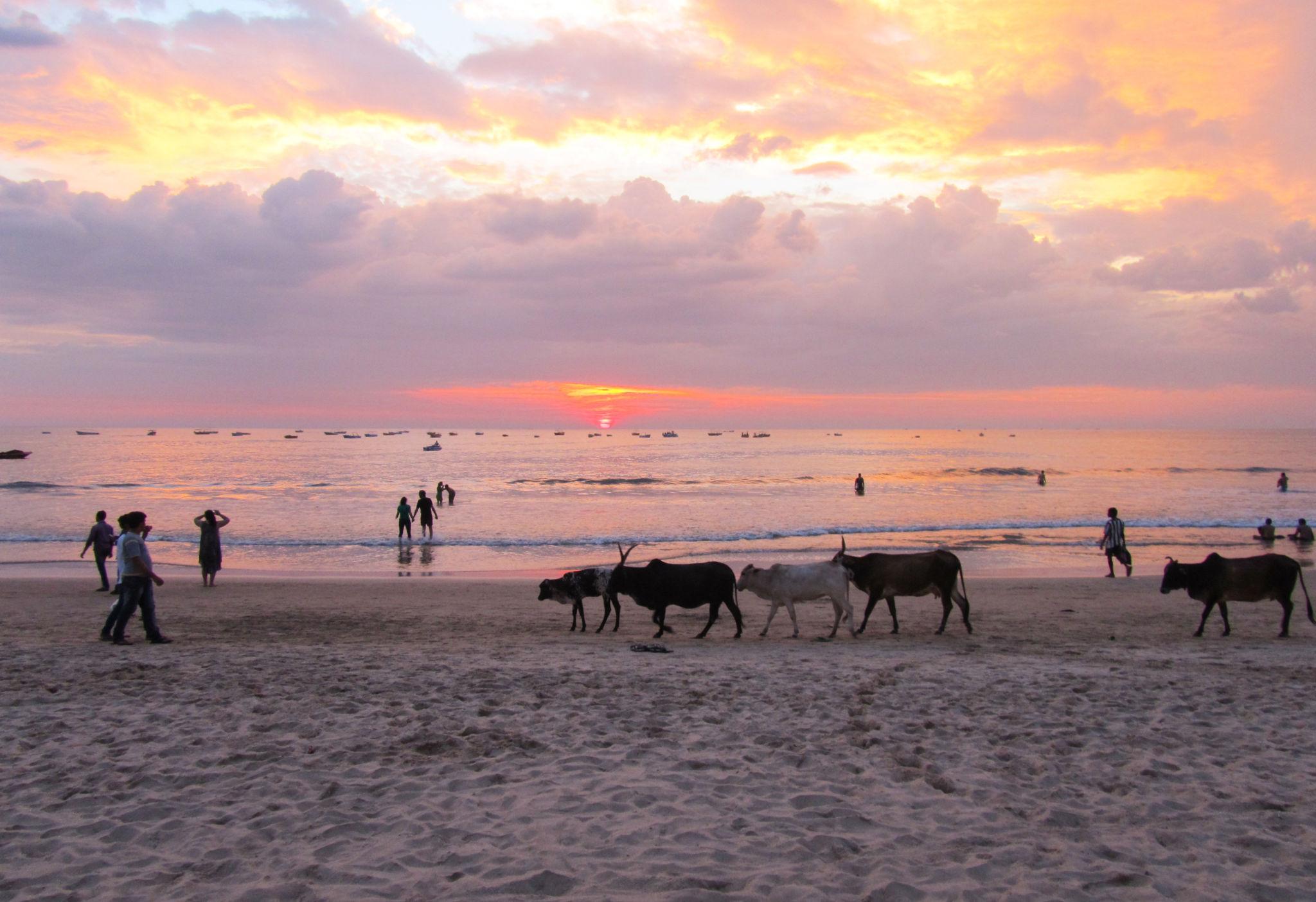 🎉 Things to Do in Goa Under Budget