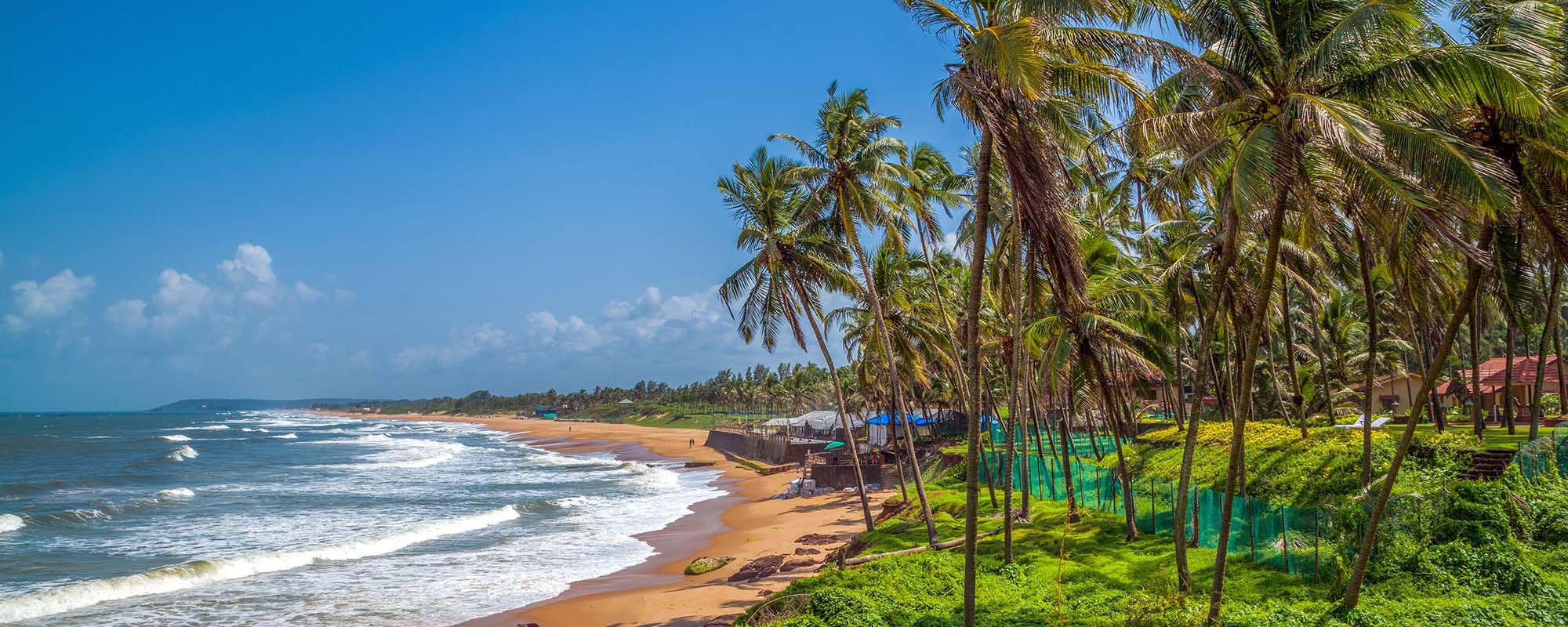 1. Train (Best Option)