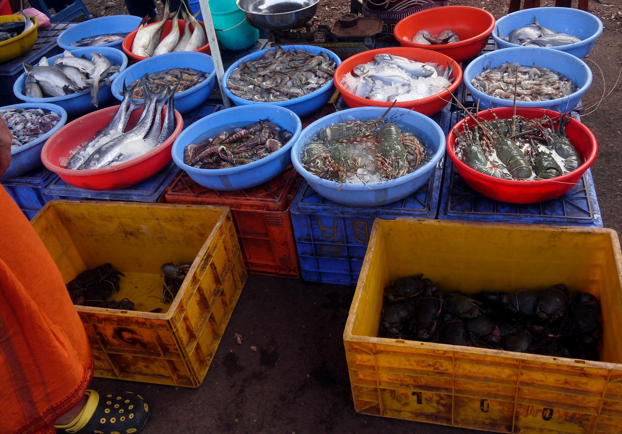 🏠 Is Goa Cheap or Expensive to Live?