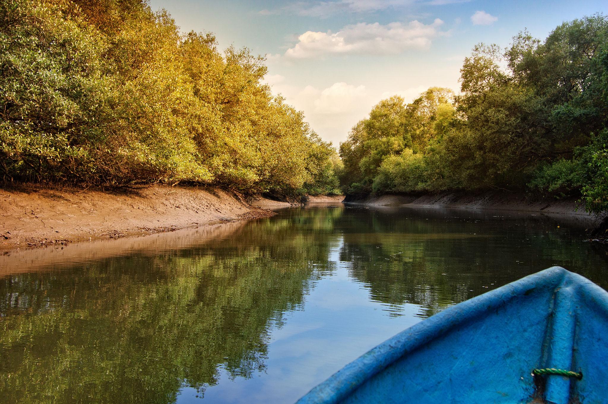 2. Go kayaking through Goa’s hidden backwaters