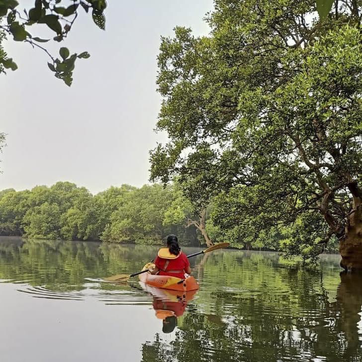 2. Go kayaking through Goa’s hidden backwaters
