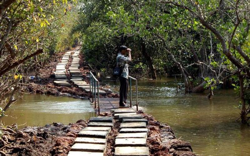 8. Take a speedboat ride through Goa’s backwaters