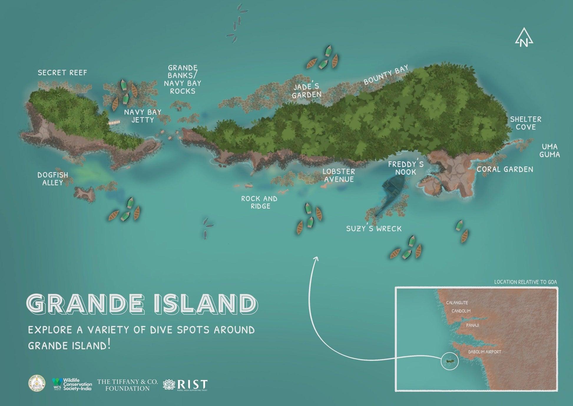 ⭐ 4. Grand Island Open Boat Sea Trip (No Diving)