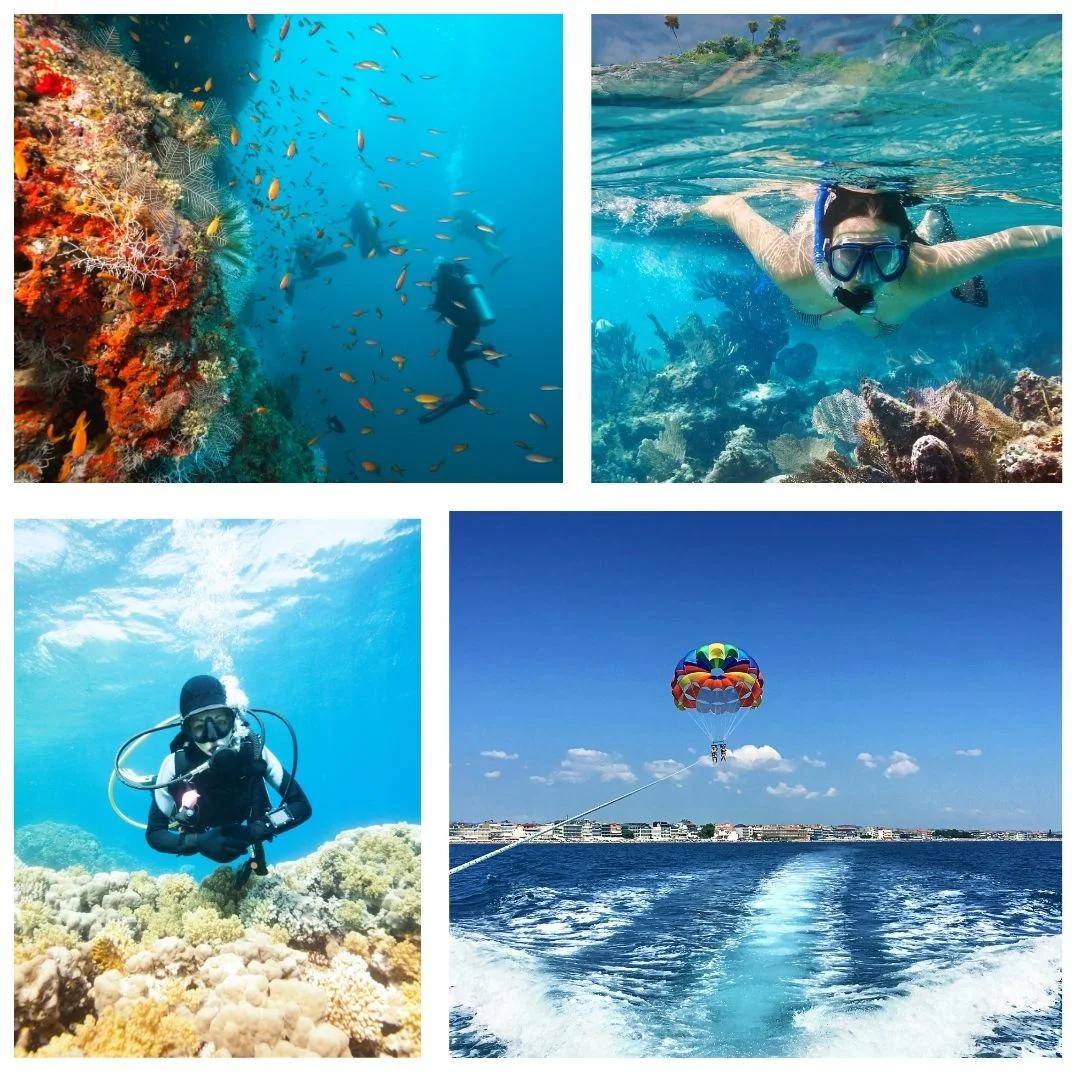 ⭐ 4. Grand Island Open Boat Sea Trip (No Diving)