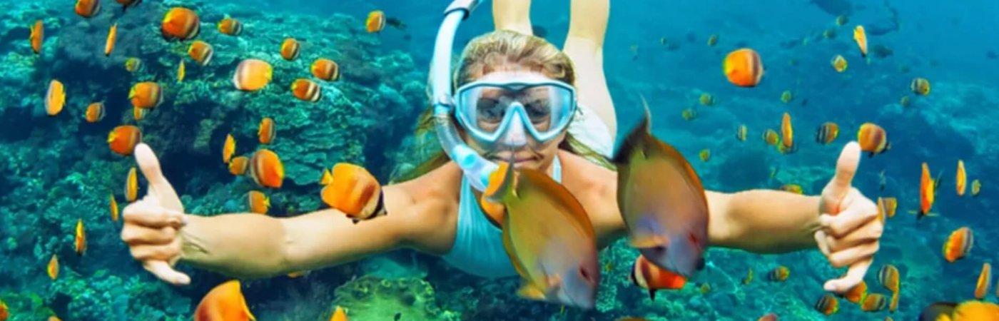 Scuba Diving in Calangute Goa (Updated Guide): Best Packages, Prices, Experience & Booking