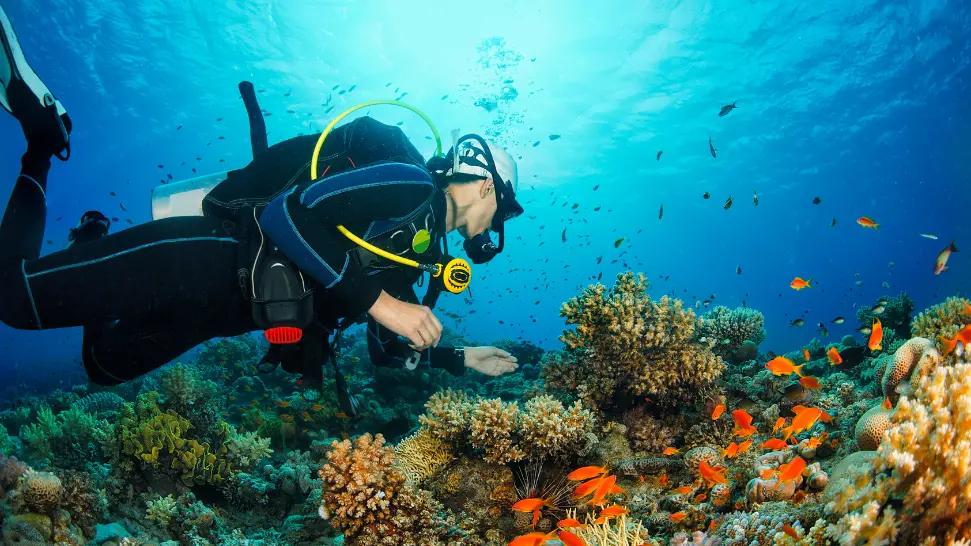 Scuba Diving in Candolim Goa (Latest Guide): Best Packages, Prices, Experience & Booking Tips
