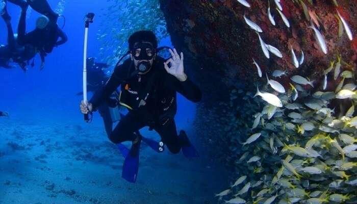 Scuba Diving in Candolim Goa (Latest Guide): Best Packages, Prices, Experience & Booking Tips