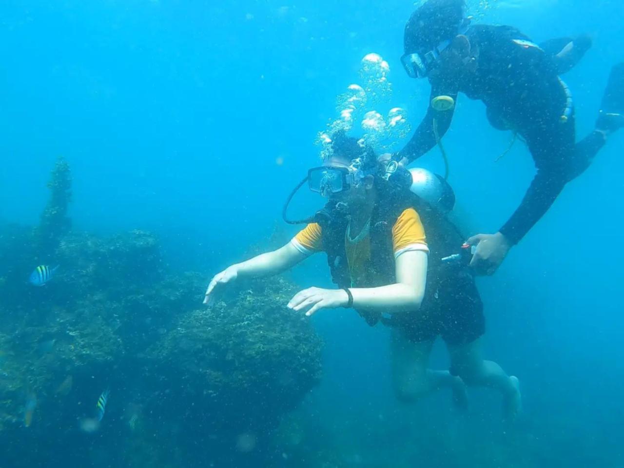 ⭐ 4. Grand Island Open Boat Sea Trip (No Diving)