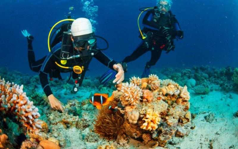 ⭐ 1. Premium Scuba Diving at Grand Island with Water Sports Combo