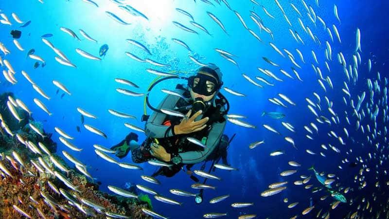⭐ 1. Premium Scuba Diving at Grand Island with Water Sports Combo