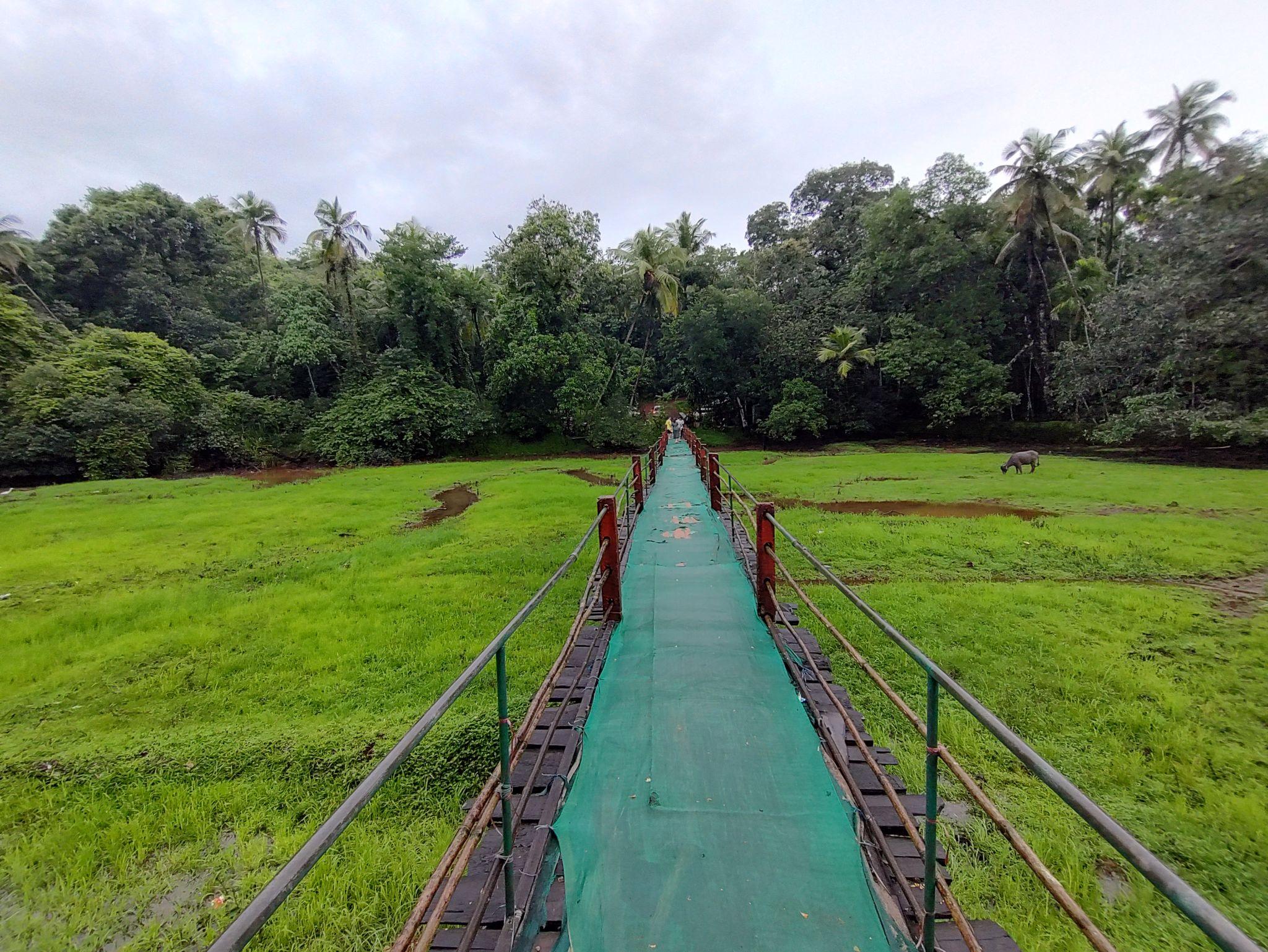 2. Divar Island – Peaceful Village Experience