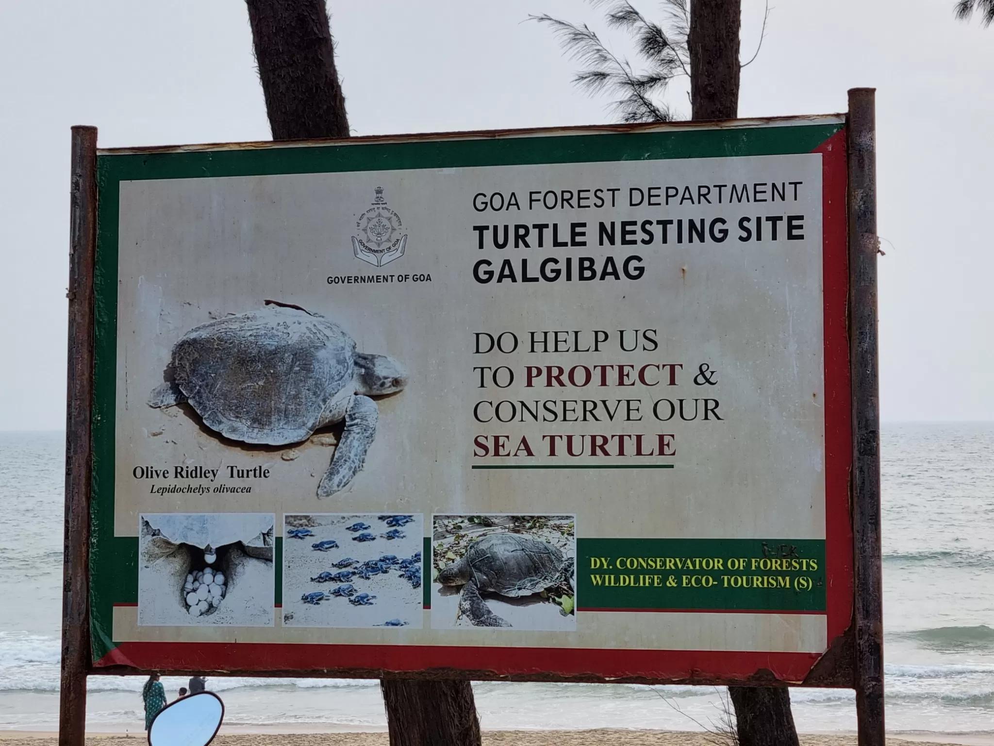 9. Galgibaga Beach – Clean Hidden Beach