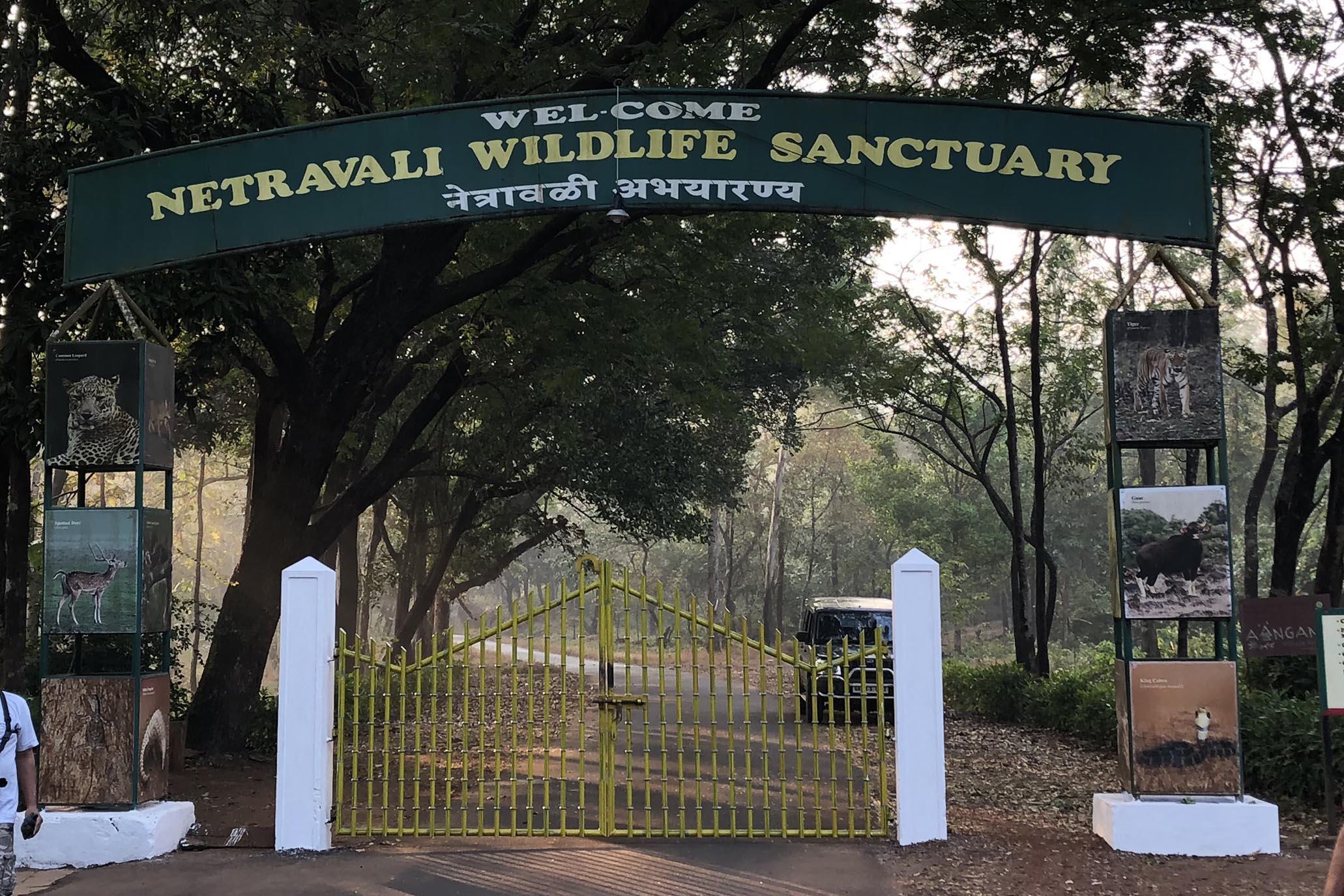 7. Netravali Wildlife Sanctuary – Jungle Escape