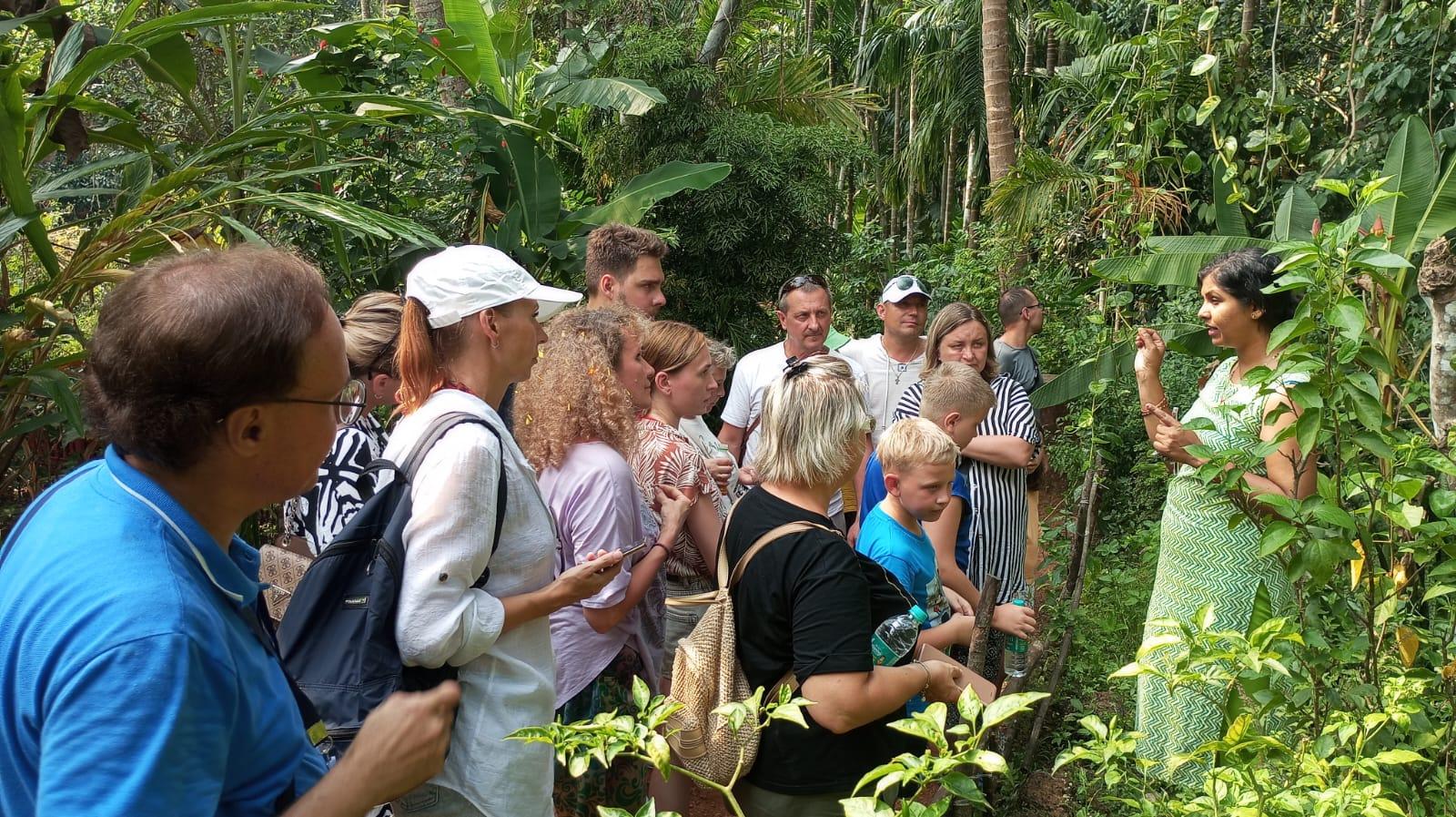 4. Explore Spice Plantations (Fun + Educational)