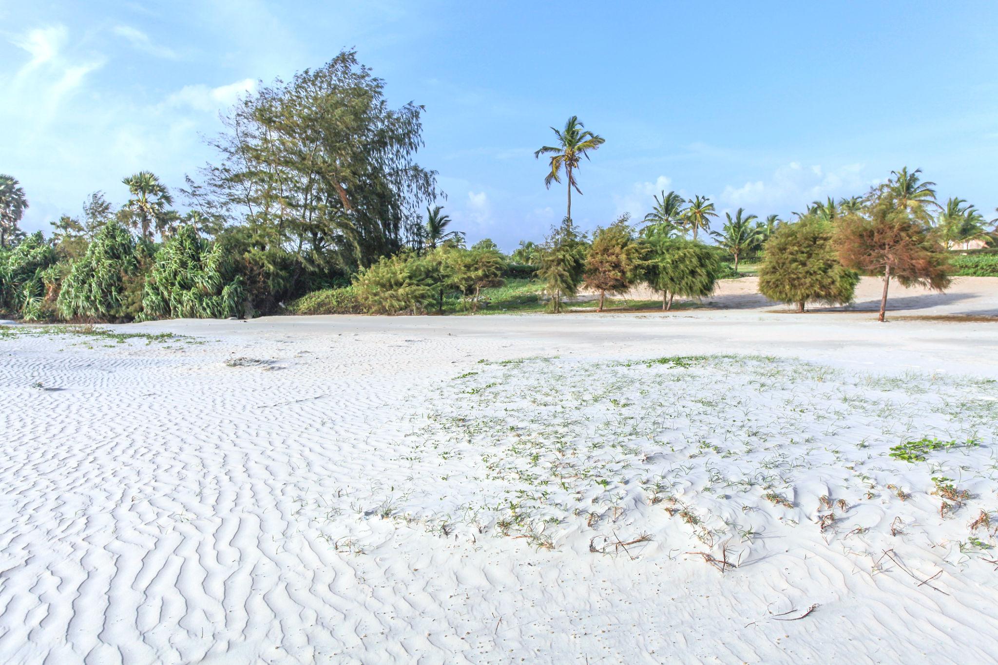 📋 Top 10 Cleanest Beaches in Goa (List)