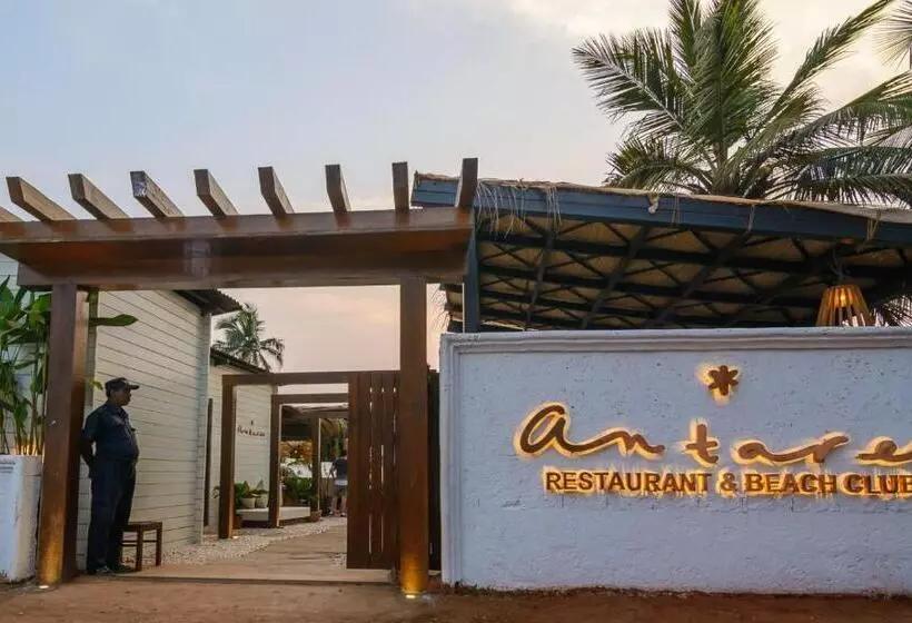 Top Night Clubs in Vagator Goa