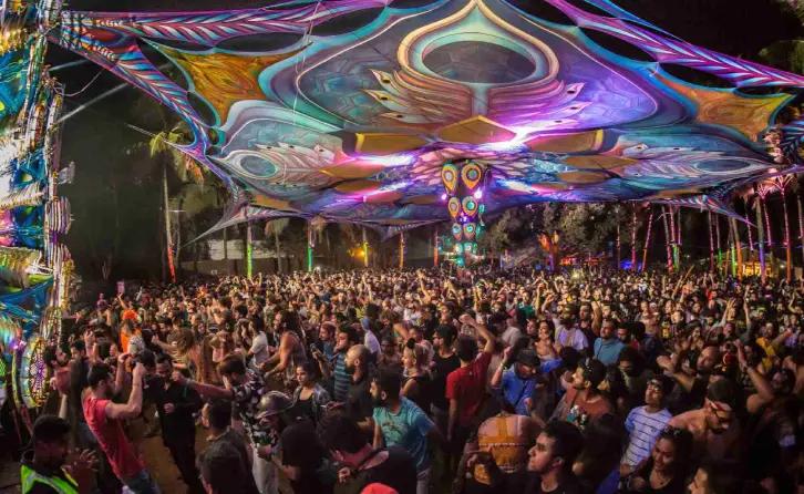 🌴 Why Goa is India’s Party Capital