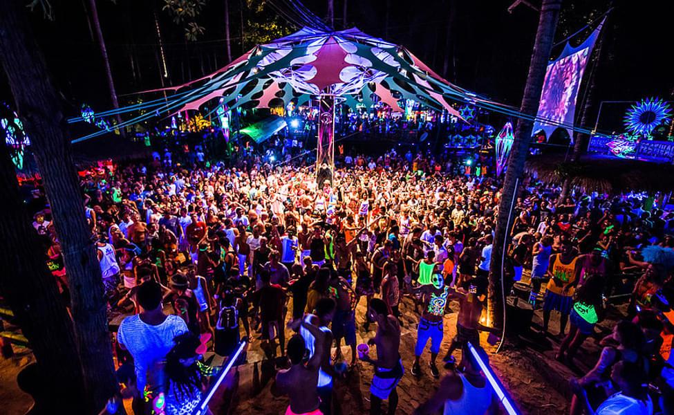 🌴 Why Goa is India’s Party Capital