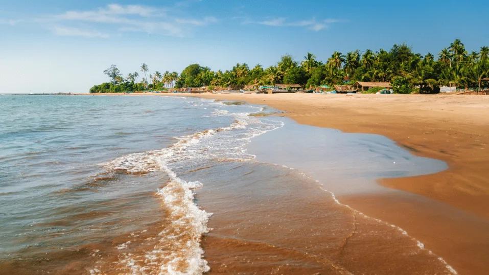 Why Foreigners Love Arambol, Morjim, and Agonda