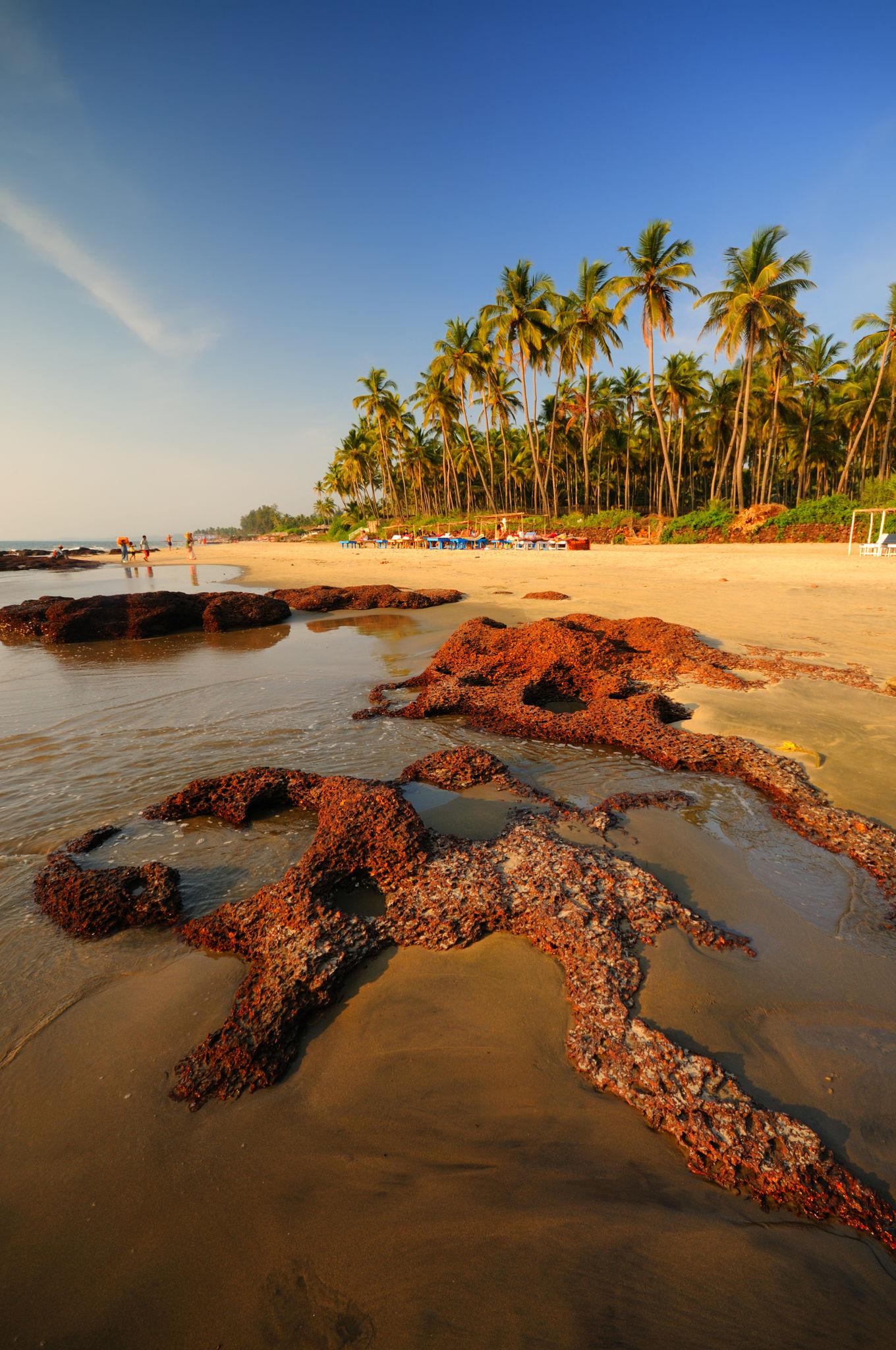 Why Foreigners Love Arambol, Morjim, and Agonda
