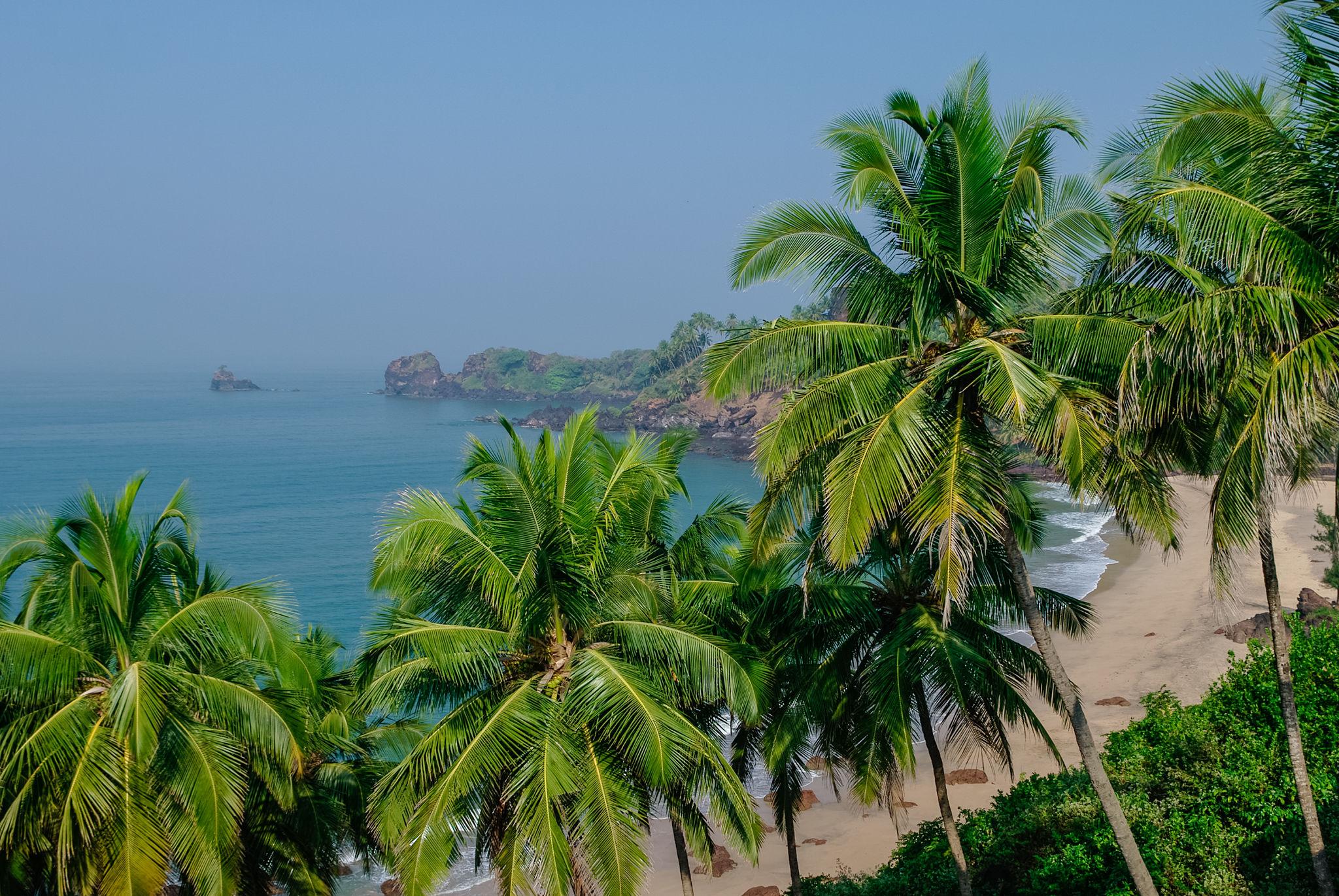 Why Foreigners Love Arambol, Morjim, and Agonda