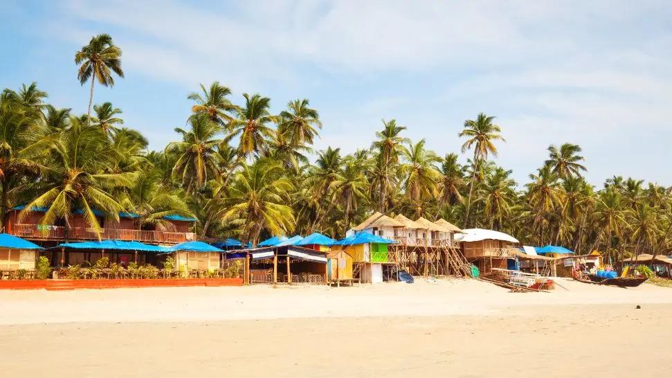 Blue Wave's Goa Gallery Image