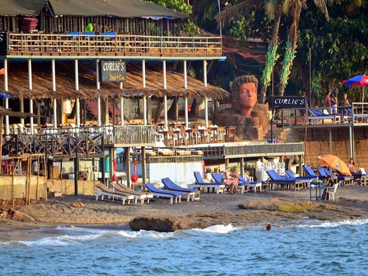 Curlies Goa Gallery Image