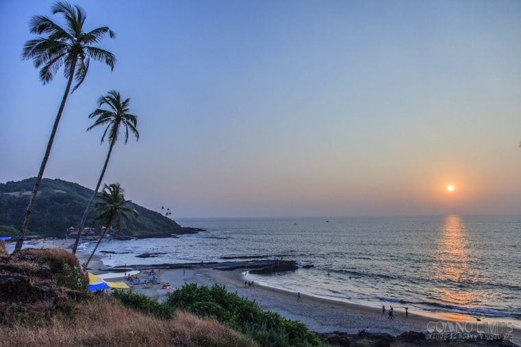 Thalassa Goa Gallery Image