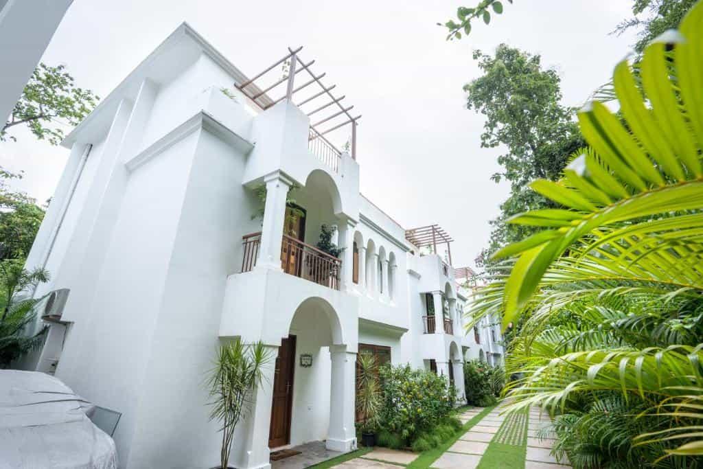 THE WHITE GOA Gallery Image