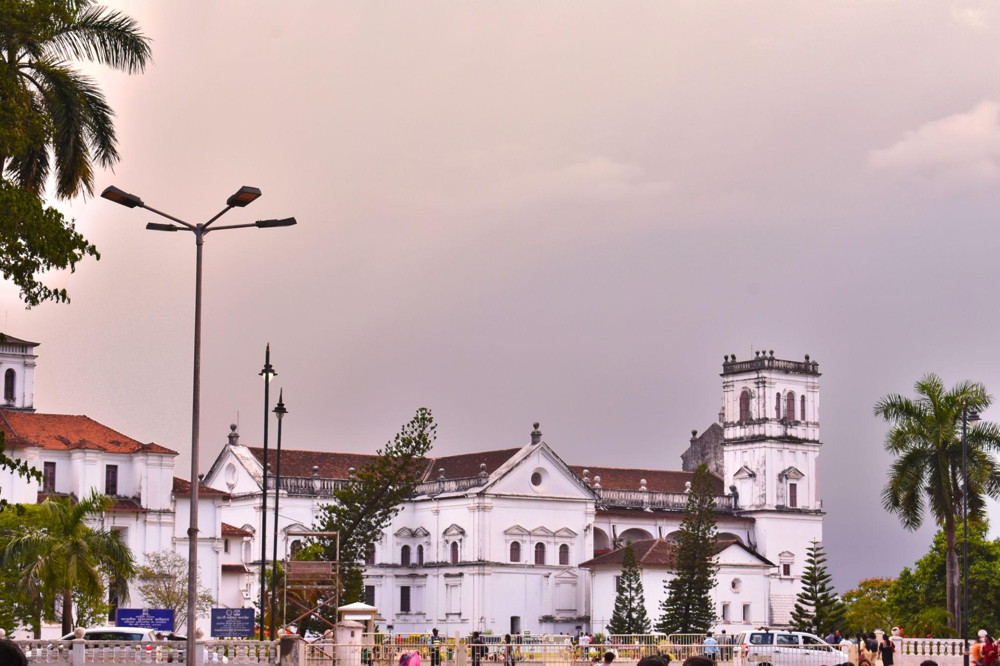 St. Francis Of Assisi Church Gallery Image