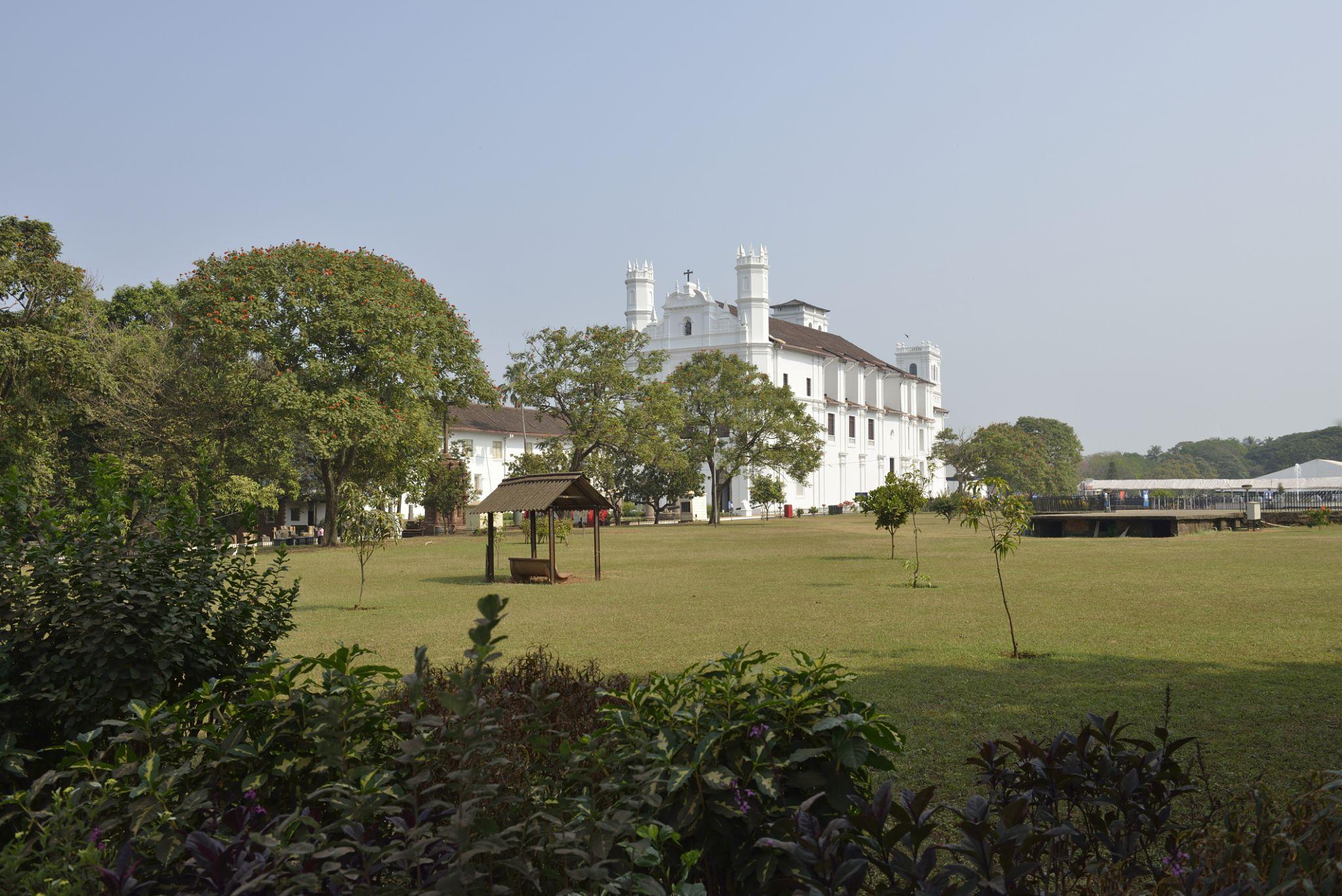 St. Francis Of Assisi Church Gallery Image