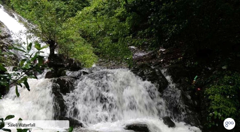 Saleli Waterfall Goa