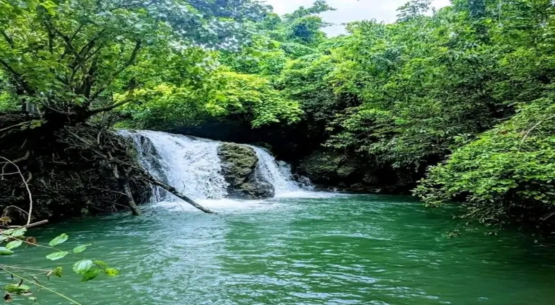 Rivona Waterfall