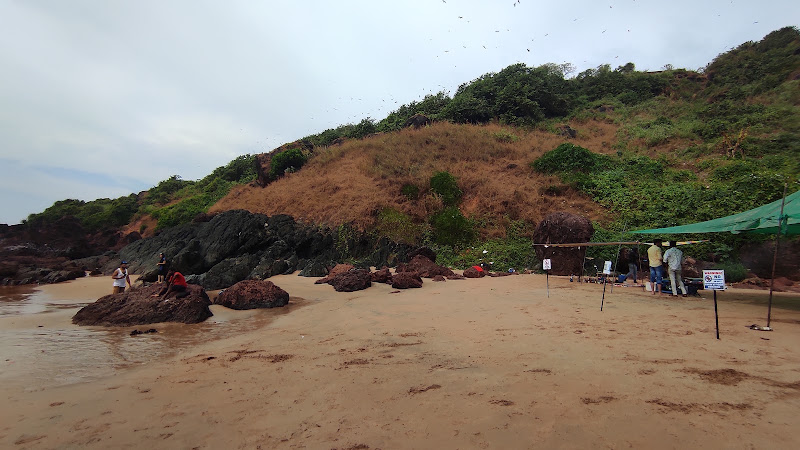 Monkey Beach