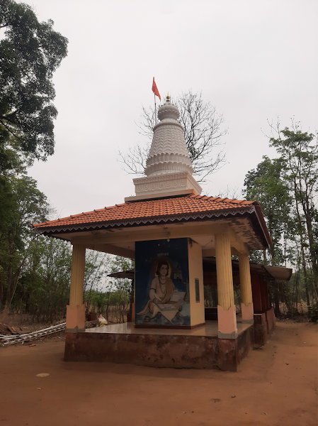 Shree Tulsi Vrindavan Sansthan