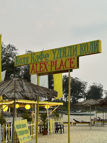Alex Place