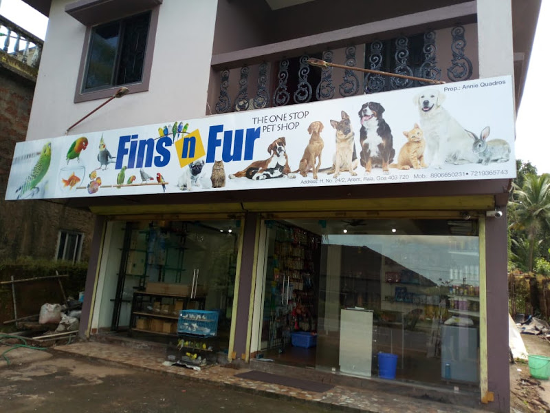 Fins