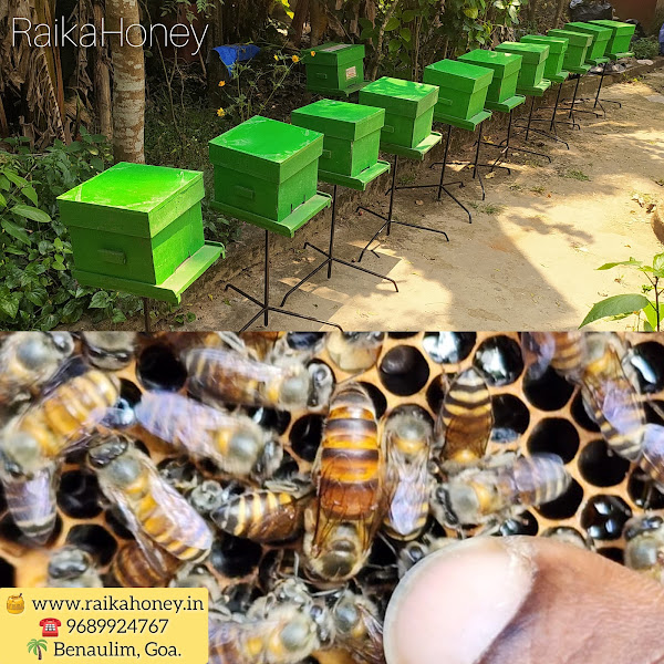 Honey