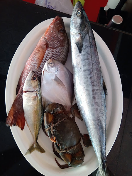 Travelbar Fusion Cuisine