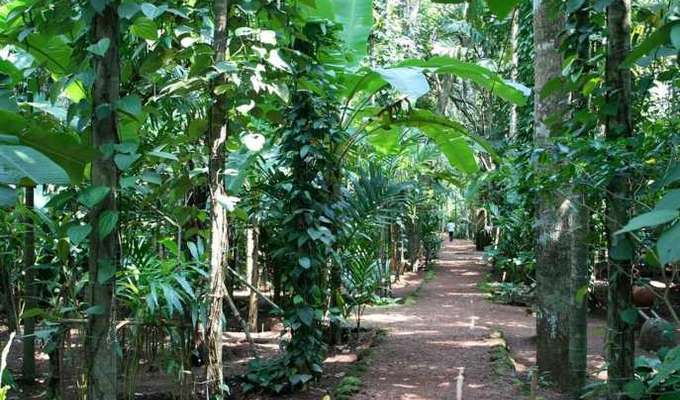 5 Nights 6 Days Goa Family Vacation Package