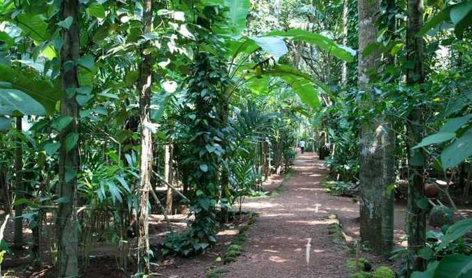 2 Nights 3 Days Goa Sightseeing & Leisure Package