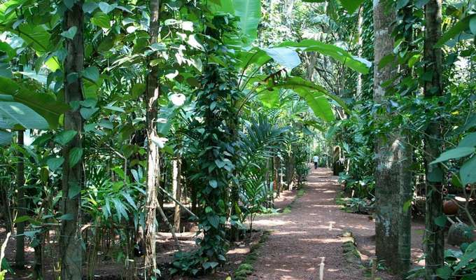 3 Nights 4 Days Goa Monsoon Special Package