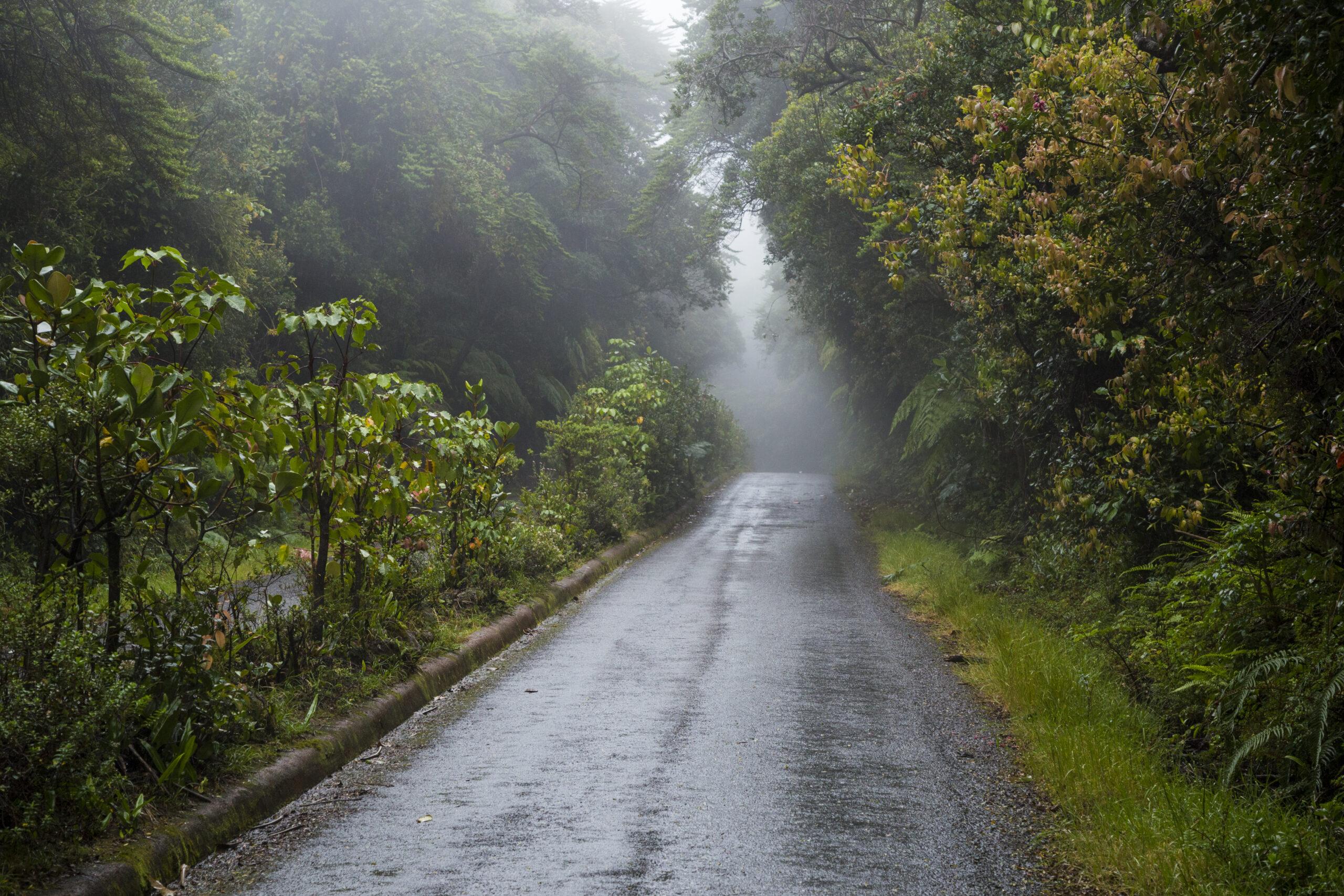 Goa in August - Scenic rainy days and tranquil nature escapes in the off-season - 2
