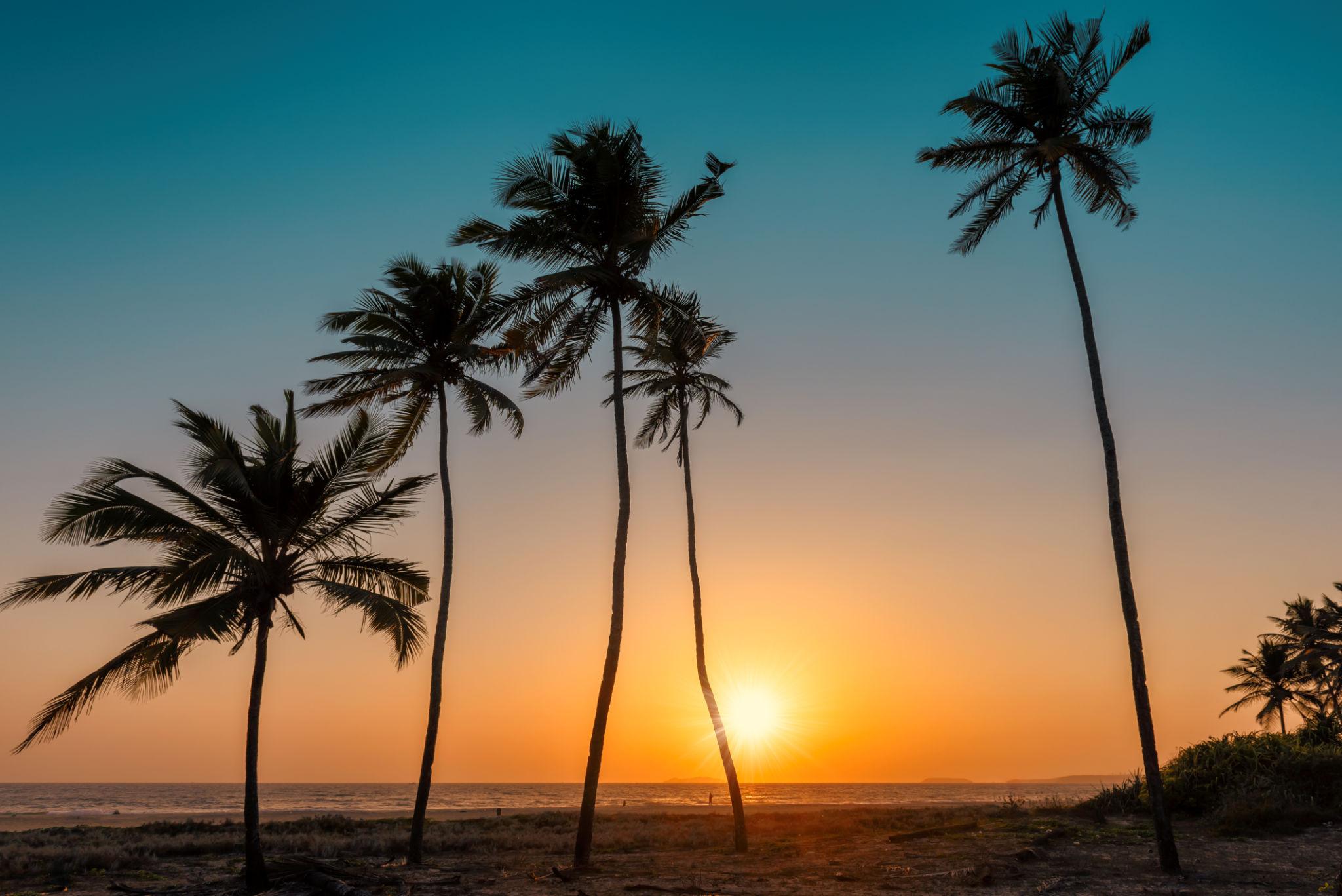 Best time to visit Goa 2026 - Stunning aerial views of North and South Goa beaches - 1