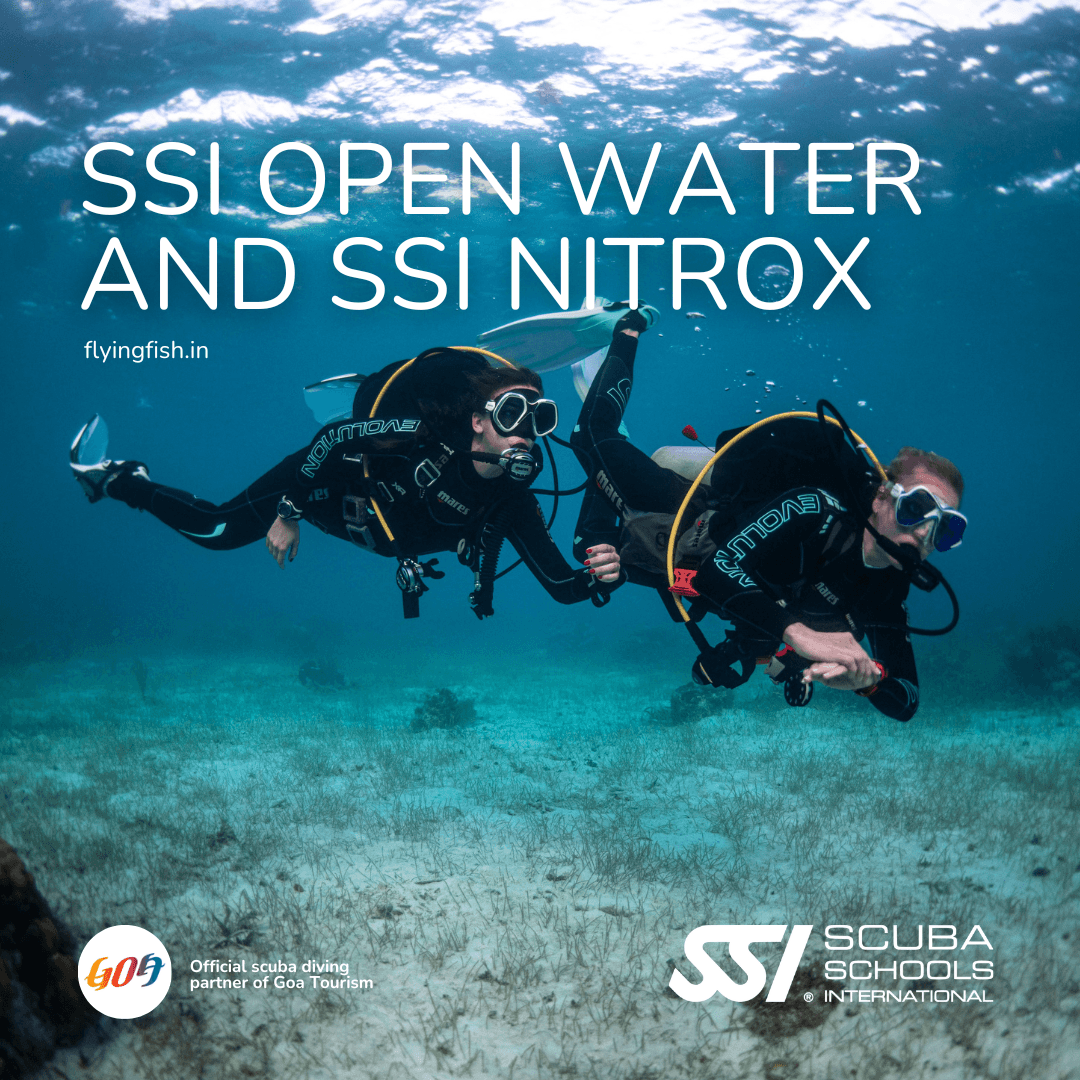 SSI Open Water scuba diving Goa